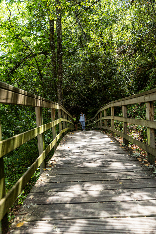 Pasarela del Río Mao y Fábrica da Luz