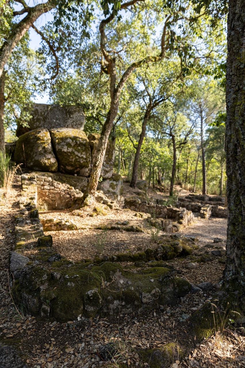 Castro de Santomé