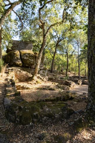 Castro de Santomé_8
