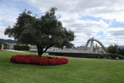 Ponte del Milenio