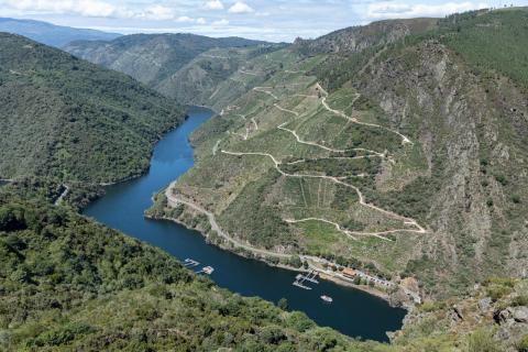 Miradores de la Ribeira Sacra