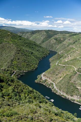 Miradores de la Ribeira Sacra