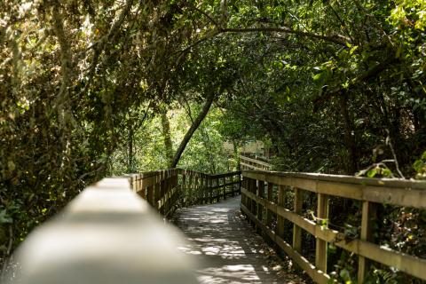 Pasarela del Río Mao y Fábrica da Luz