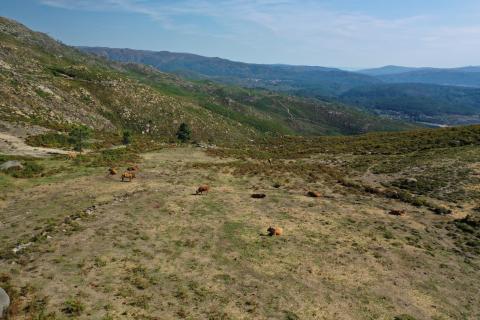 Parque Natural Baixa Limia -Serra de Xurés