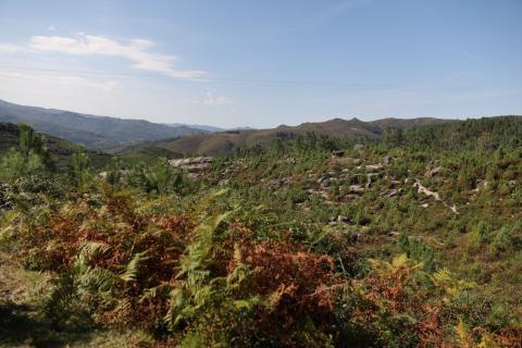 Parque Natural Baixa Limia -Serra de Xurés