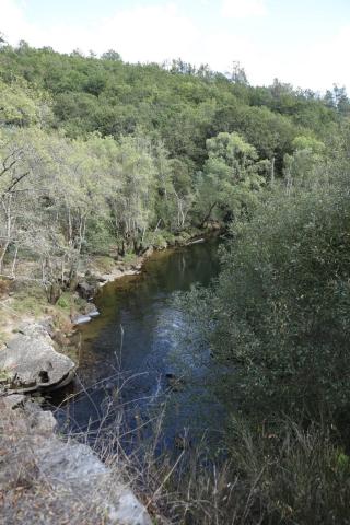 Pazos de Arenteiro