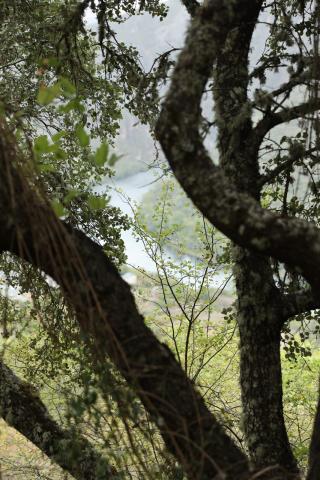 Parque Natural Serra da Enciña da Lastra