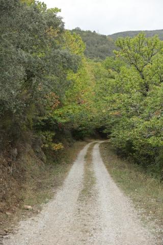 Parque Natural Serra da Enciña da Lastra