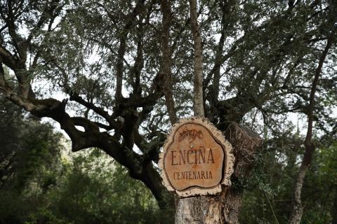 Parque Natural Serra da Enciña da Lastra