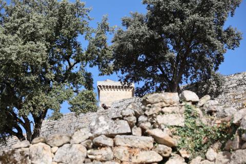 Castelo de Monterrei