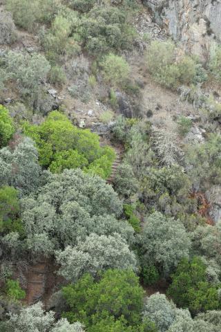 Fervenza da Cidadella