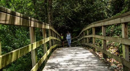 Pasarela del Río Mao y Fábrica da Luz